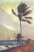 Winslow Homer Palm Tree, Nassau oil on canvas